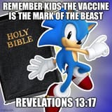 646