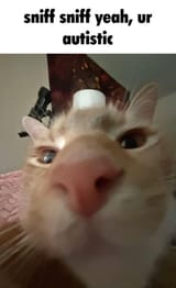 yea, ur autistic