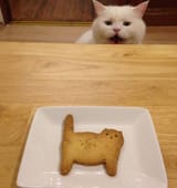 why you bake me