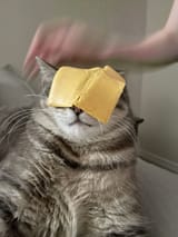 cheese head