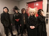 arlequin