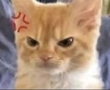 angwy