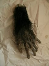 monkeys_paw_78-sized1