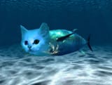 Catfish
