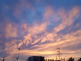 IMG-20201005-WA0012