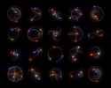 3 Body Problem Orbits_thumb.jpg