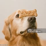 gettyimages-sb10063335c-001-612x612