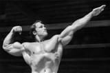 _132686762_arnie
