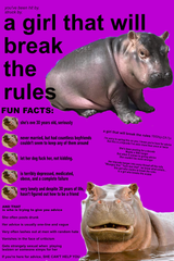 rules