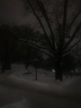 IMG_20250608_022956_545