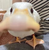 Thread image