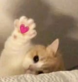 💗