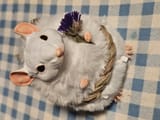 Mouse