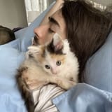 Charlie&#039;s cat W