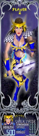 Gauntlet_Dark_Legacy_-_Blue_Valkyrie_(Player_2)