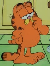 garfield_big_think