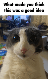 togif