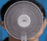 fan