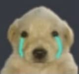 Thread 33312631 OP Image