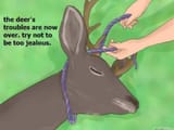 deers