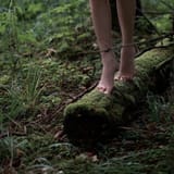 IMG_9670