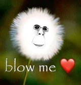 apeson_blow_me_dandelion