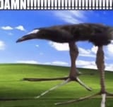 Thread 33316317 OP Image