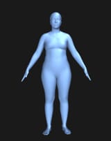 bodyvis