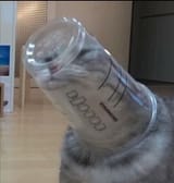 15647