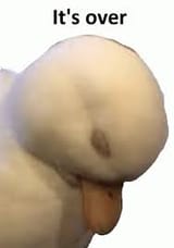 Thread 33321967 OP Image