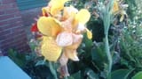 WIN_20250706_10_45_57_Pro