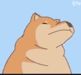 Bonk Doggo