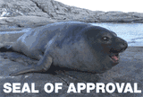 giphy (1)