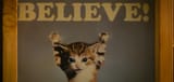 believe