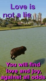 cachedImage
