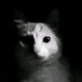 33c25fd3bf3054d910f16d7dd8822e79