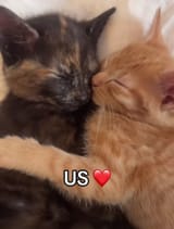 us