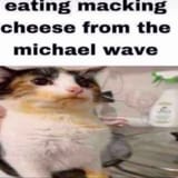 Thread 33336566 OP Image
