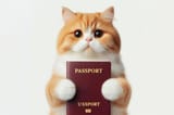 funny-cat-hold-passport-isolated-white-background-pet-passport-concept_955712-30259