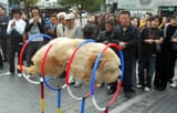 dog (1)