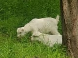 IMG_20240510_140442