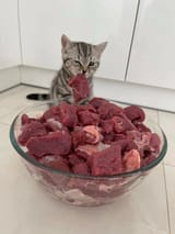 IMG_1595