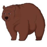 bearjak