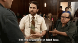 charlieday-bird-law