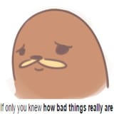Thread 33346087 OP Image