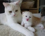Mama and Baby_