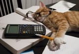 The mathematics of cats_