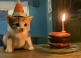 birthday car