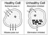 HealthyUnhealthyCells