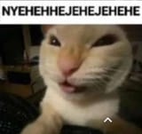 nyehehehehe